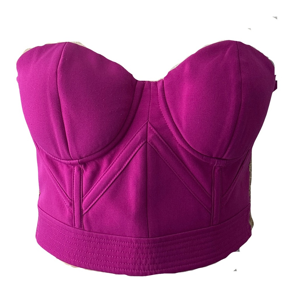 Bebe Womens Fuchsia Hot Pink Gold Bustier Tube Top Back Zip Up Lace Sides Size 2